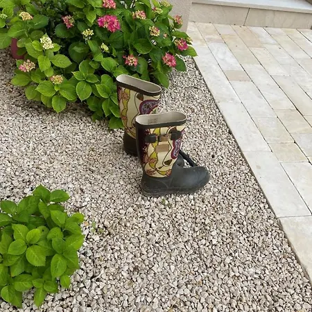 Villa New Rab Luxury Limeta